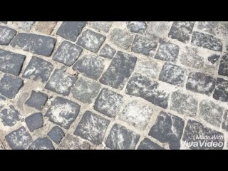 nargis_kulbayeva video