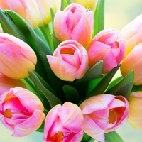 Ирина Баринова-Головина