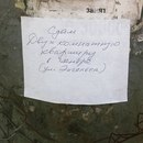 Объявление от Олесь - фото №1