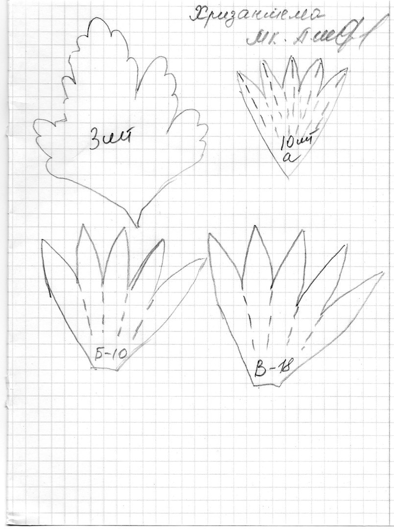 Цветы из фоамирана схемы и шаблоны. Выкройки цветов. Выкройка цветка. Выкройки из фоамирана. Шаблоны цветов из фоамирана.