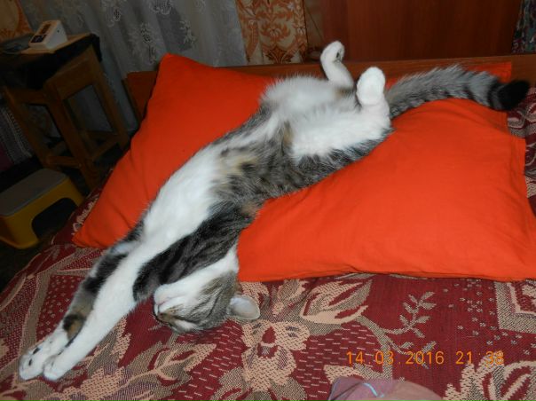 фотография из вКонтакте