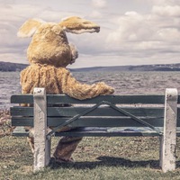 Алексей Кононенко | Ростов-на-Дону