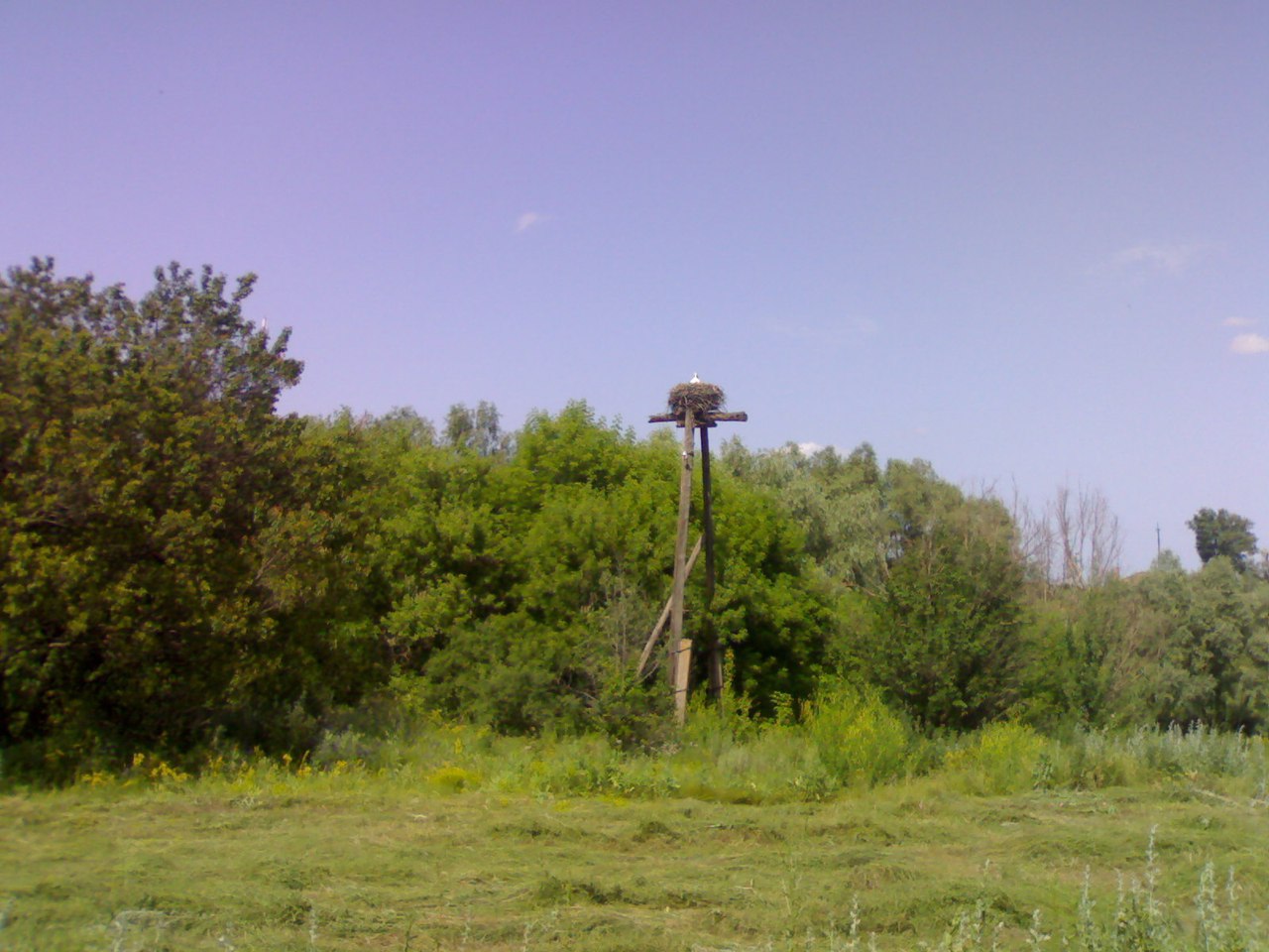 Киев - Мариуполь