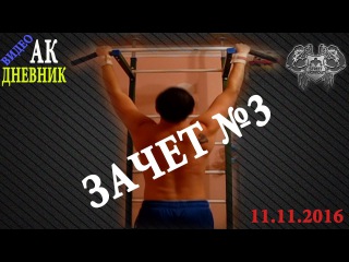 Street Workout с нуля!Турники и Брусья 11.11.2016!Видео Дневник Новичка!ЗАЧЕТ №3