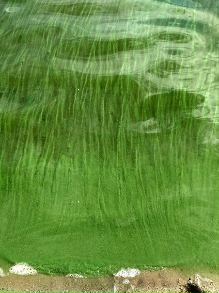 Тархун озеро челябинская область карта