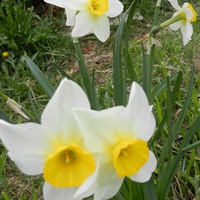 Валентина Смирнова