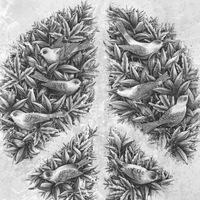 Дмитрий Цикунов