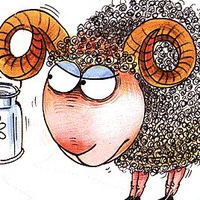 Аля Иванова | Москва