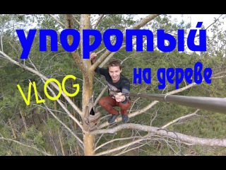 Vlog - залез на дерево! | упоротый!