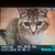 Фото пользователя Аня