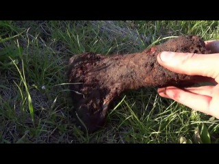 Поиск золота.Серия 57.Выезд с камрадами.Леса,поля и луга