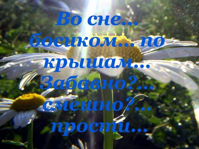 Хочу тебе счастья