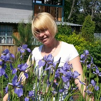 Лариса Сединкина