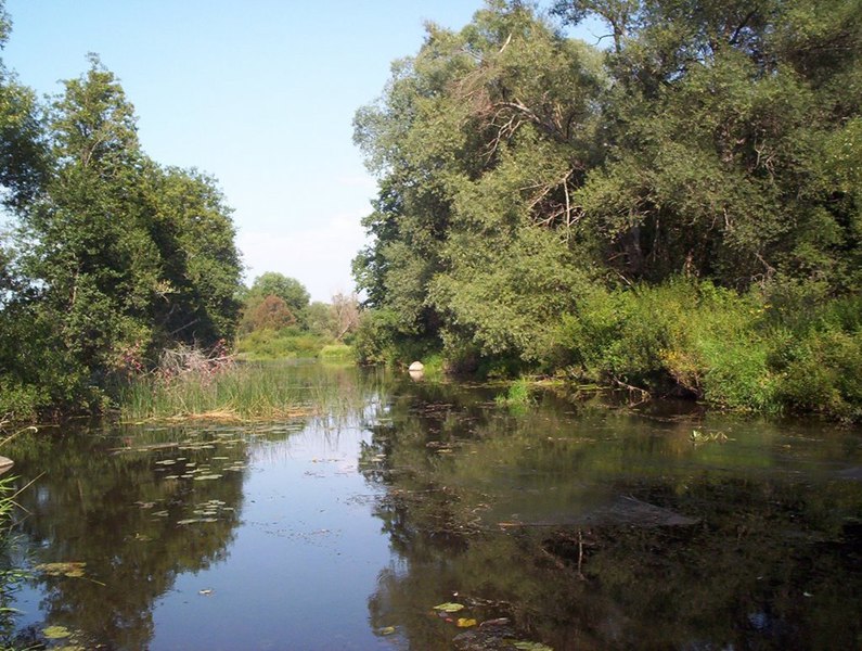 Река ресса