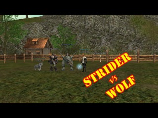 Strider vs Wolf / Страйдер против Волка / Lineage 2 Interlude