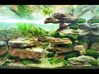 2015 AGA aquascaping contest best aquariums (all) HD