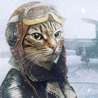 Денис Дубровский