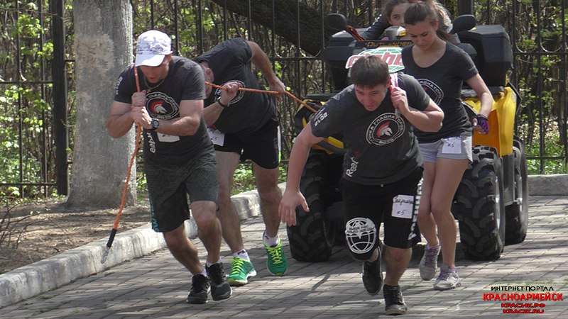 Красноармейск спорт. Красноармейск Пересвет.