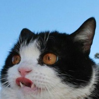 Лилько Сволли  Svolly