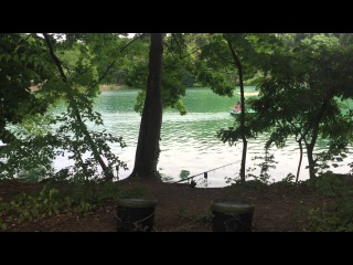CC Moore TV - The iPhone Carpers - European Park Lake