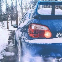 Александр Петрашкевич |