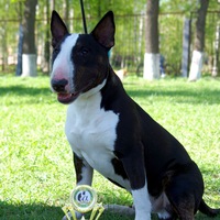 Ирина Рожкова | Москва