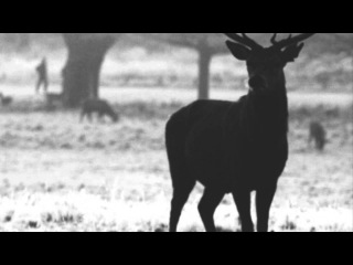 James Vincent McMorrow ft. MOORS - New Romancers