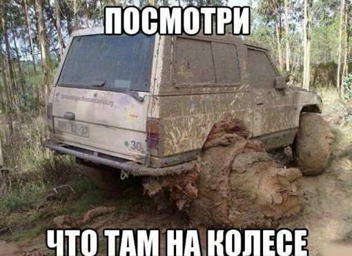 x9ezSpv7OYM.jpg