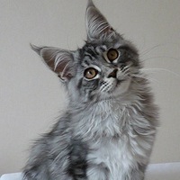 Сергей Нилов |