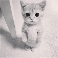 Евгения Шмелева | 