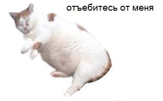 FI8TOpSTNbM.jpg
