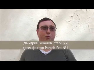 Как избавиться от кротов на участке