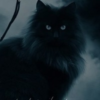 Арина Царёва | Минусинск