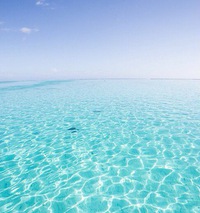 Евгений Горбунов