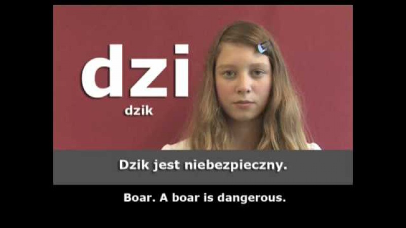 Polish Pronunciation Guide