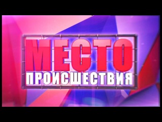 Видеорегистратор. Место происшествия 03.02.2016