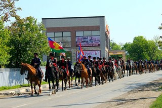 Новости про пауков в банане 2017