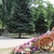 Фото пользователя Инга