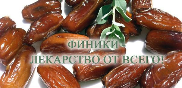 ПОЧЕМУ ЖЕЛАТЕЛЬНО УТРОМ СЪЕДАТЬ НЕСКОЛЬКО ФИНИКОВ 