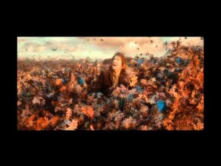 Thorin's Destiny.(part 1 ) Thorin Oakenshield