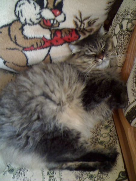 Настя Вдовина, Россия, Родники