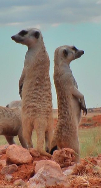 Санек Санек, Россия, Новая Каховка