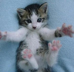 Олег Страников, Россия, Луганск