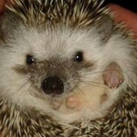 Олег Бакутин