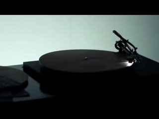 The Voice of the Trees by Bartholomaus Traubeck WWW.GOODNEWS.WS