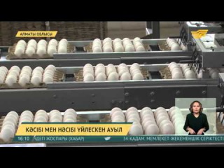 Ауылдағы құс фабрикасы отандық нарықты сапалы өніммен қамтамасыз етуде