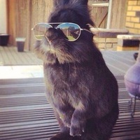 Саша Иванов