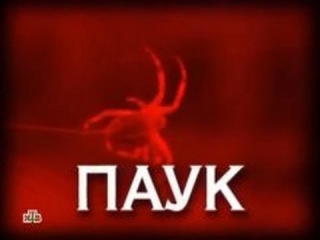 Следствие Вели с Леонидом Каневским (28.02.2016) - Паук
