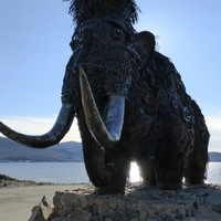 Николай Кондаков |