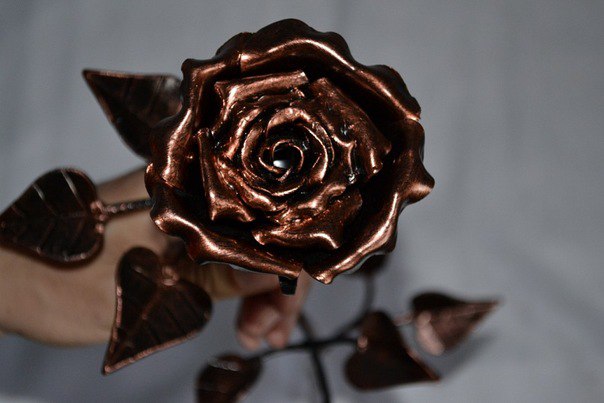 Роза Кованная, Украина, Первомайск